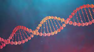مقاله DNA و ژنتيک