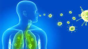 مقاله اثر داروهای تب بر بر روند بیماریهای عفونی