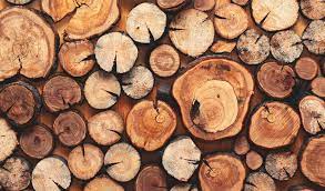 مقاله کامل تاريخچه مصرف چوب