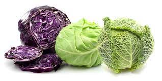 مقاله کامل کلم پيچ Cabbage