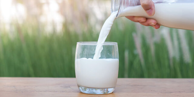 مقاله کامل شیر