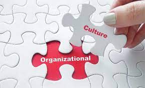رابطه بين فرهنگ سازماني و عملكرد