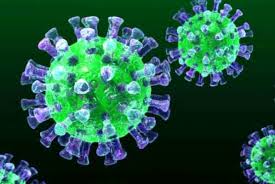 تحقیق و پژوهش در مورد ویروس ها