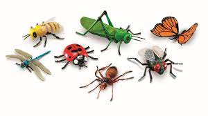 اهميت حشرات در زندگي انسان