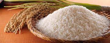 اکولوژی برنج